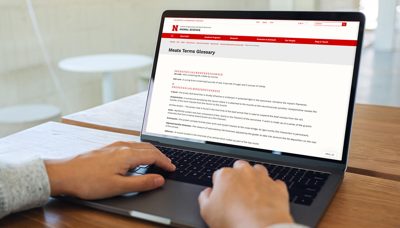 Preparing for INVALSI 2026: Focus on Digital Competencies